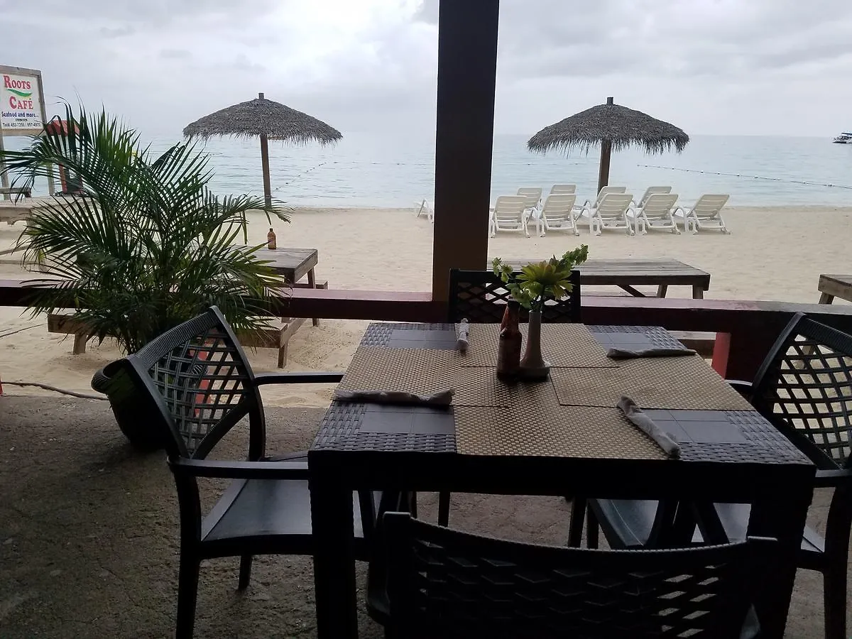Roots Cafe Rooms 内格里尔 酒店